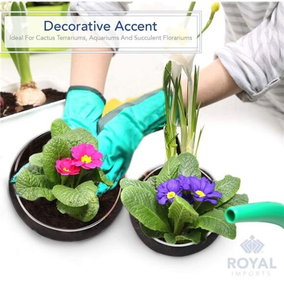 Royal Imports Round Glass Vase Set of 2 – Clear Decorative Glass Bowls - Picture 5 of 8